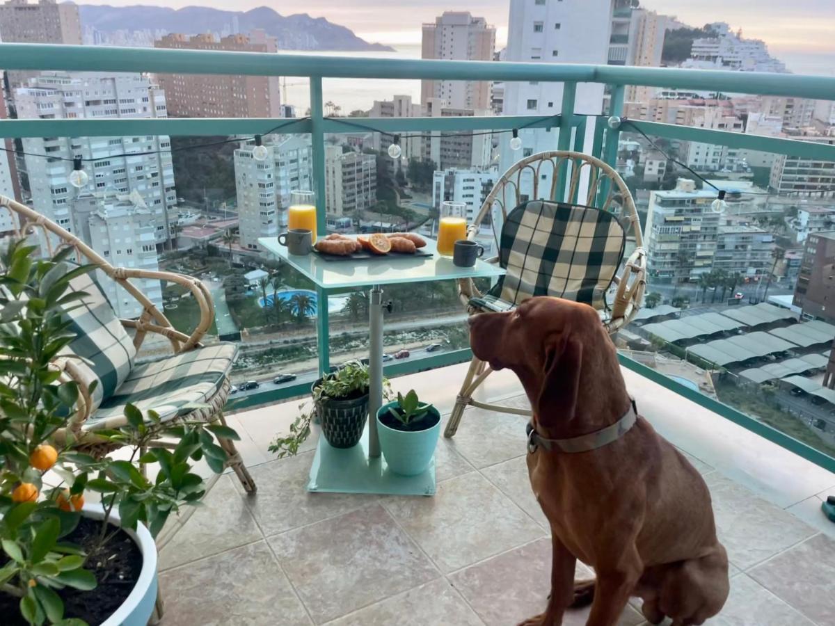 Traveler'S Beach Apartment With Sea View, Free Coffee & Parking Benidorm Exterior photo